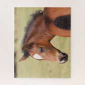 Bob Langrish | Foto van Bay Warmblood Legpuzzel (Verticaal)