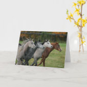 Bob Langrish | Four Arab Horses Racing Headshot Kaart (Gele Bloem)