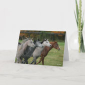 Bob Langrish | Four Arab Horses Racing Headshot Kaart (Voorkant)