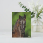 Bob Langrish | Friesian Horse Headshot Briefkaart (Staand voorkant)