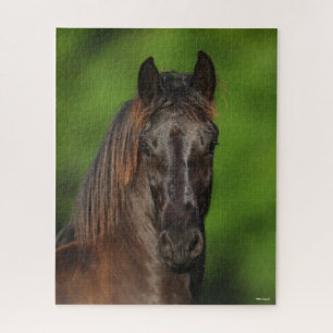 Bob Langrish   Friesian Horse Headshot Legpuzzel