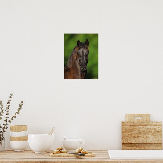 Bob Langrish | Friesian Horse Headshot Poster (Keuken)