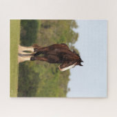 Bob Langrish | Garnaal dat zich in het veld bevind Legpuzzel (Horizontaal)