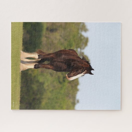 Bob Langrish | Garnaal dat zich in het veld bevind Legpuzzel (Horizontaal)