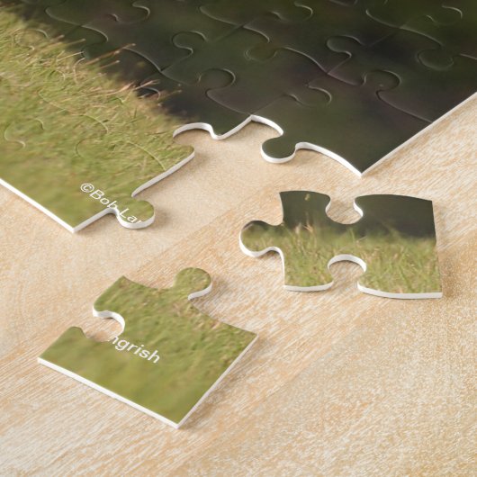 Bob Langrish | Garnaal dat zich in het veld bevind Legpuzzel (Zijkant)