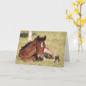 Bob Langrish | Gewapend raaigras Kaart (Gele Bloem)