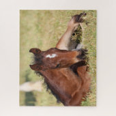 Bob Langrish | Gewapend raaigras Legpuzzel (Verticaal)