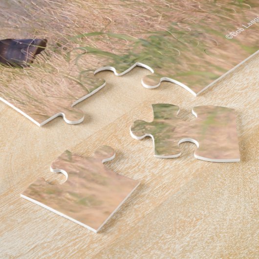 Bob Langrish | Golf van Andalucian Colt in Field Legpuzzel (Zijkant)