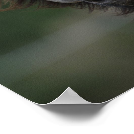 Bob Langrish | Grauwe kwartpaarden — kop Poster (Hoek)