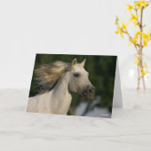 Bob Langrish Gray Andalucian Headshot Mane Fstrome Kaart (Gele Bloem)