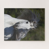 Bob Langrish Gray Andalucian headshot Mane Fstrome Legpuzzel (Horizontaal)