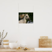 Bob Langrish Gray Andalucian Headshot Mane Fstrome Poster (Keuken)