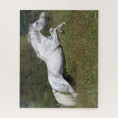 Bob Langrish Gray Andalucian Leaping Through Grass Legpuzzel (Verticaal)