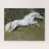 Bob Langrish Gray Andalucian Leaping Through Grass Legpuzzel (Horizontaal)