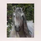 Bob Langrish | Gray Andalucian Stallion headshot Legpuzzel (Verticaal)