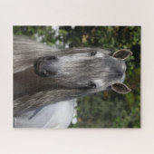Bob Langrish | Gray Andalucian Stallion headshot Legpuzzel (Horizontaal)