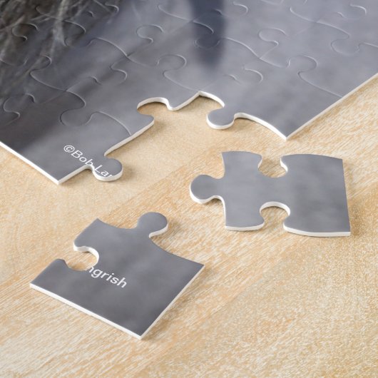 Bob Langrish | Gray Andalucian Stallion headshot Legpuzzel (Zijkant)