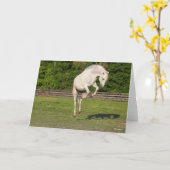 Bob Langrish | Gray Andalucian Stallion Leaping Kaart (Gele Bloem)