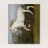 Bob Langrish | Gray Andalucian Stallion Leaping Legpuzzel (Verticaal)