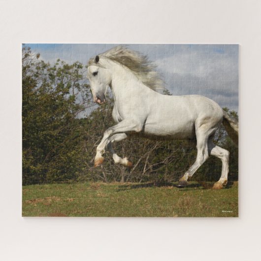 Bob Langrish | Gray Andalucian Stallion Leaping Legpuzzel (Horizontaal)