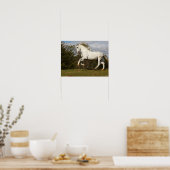 Bob Langrish | Gray Andalucian Stallion Leaping Poster (Keuken)