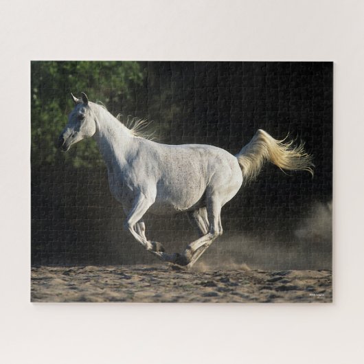Bob Langrish | Gray Arab Mare Running Legpuzzel (Horizontaal)