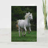 Bob Langrish | Gray Arab Running Kaart (Voorkant)