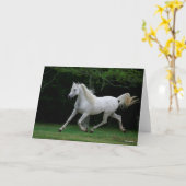 Bob Langrish | Gray Arab Running Kaart (Gele Bloem)