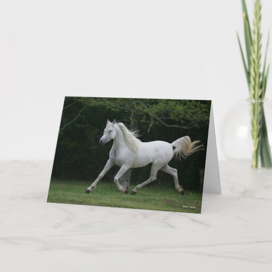 Bob Langrish | Gray Arab Running Kaart (Voorkant)