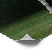 Bob Langrish | Gray Arab Running Poster (Hoek)