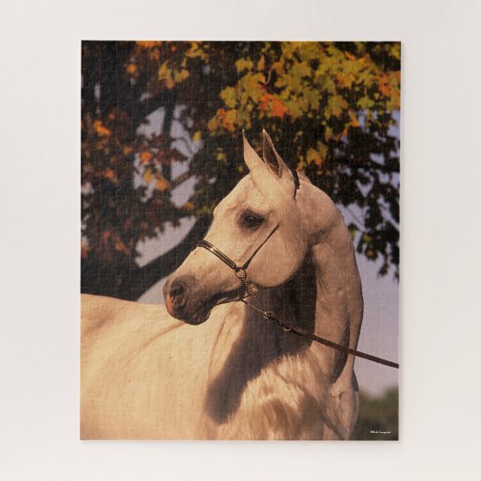 Bob Langrish | Gray Arab Stallion Headshot 4 Legpuzzel (Verticaal)