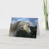 Bob Langrish | Gray Arab Stallion Headshot Kaart (Voorkant)