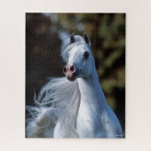 Bob Langrish | Gray Arab Stallion Headshot Legpuzzel (Verticaal)