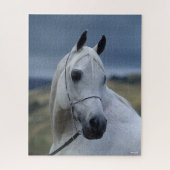 Bob Langrish | Gray Arab Stallion Headshot Legpuzzel (Verticaal)