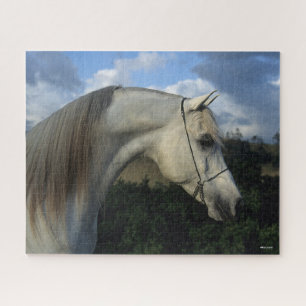 Bob Langrish Gray Arab Stallion Headshot Legpuzzel