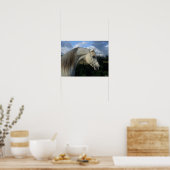 Bob Langrish | Gray Arab Stallion Headshot Poster (Keuken)