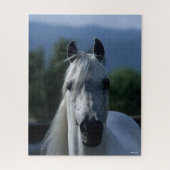 Bob Langrish Gray Arab Stallion Standing Headshot Legpuzzel (Verticaal)