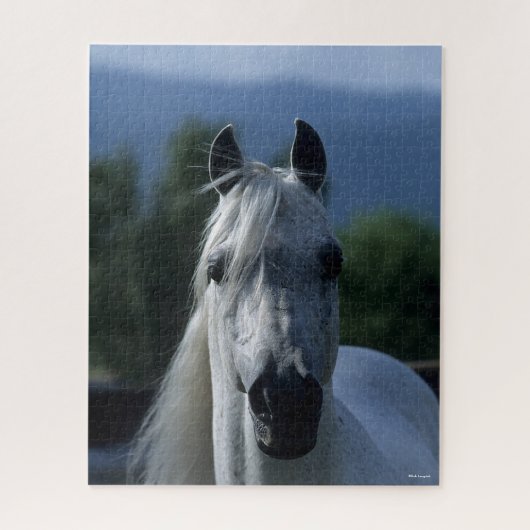 Bob Langrish Gray Arab Stallion Standing Headshot Legpuzzel (Verticaal)