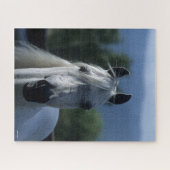 Bob Langrish Gray Arab Stallion Standing Headshot Legpuzzel (Horizontaal)