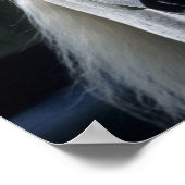 Bob Langrish Gray Arab Stallion Standing Headshot Poster (Hoek)