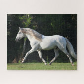 Bob Langrish | Gray Lusitano Stallion Legpuzzel (Horizontaal)