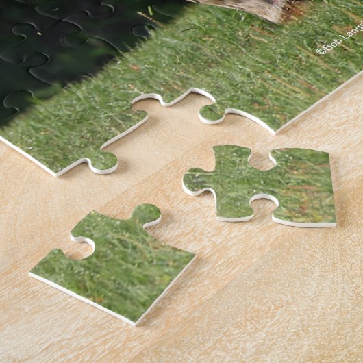 Bob Langrish | Gray Lusitano Stallion Legpuzzel (Zijkant)