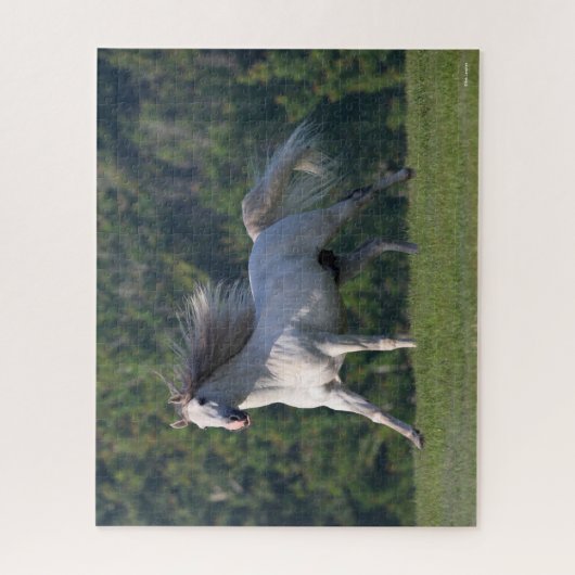 Bob Langrish | Gray Lusitano Stallion Running Legpuzzel (Verticaal)