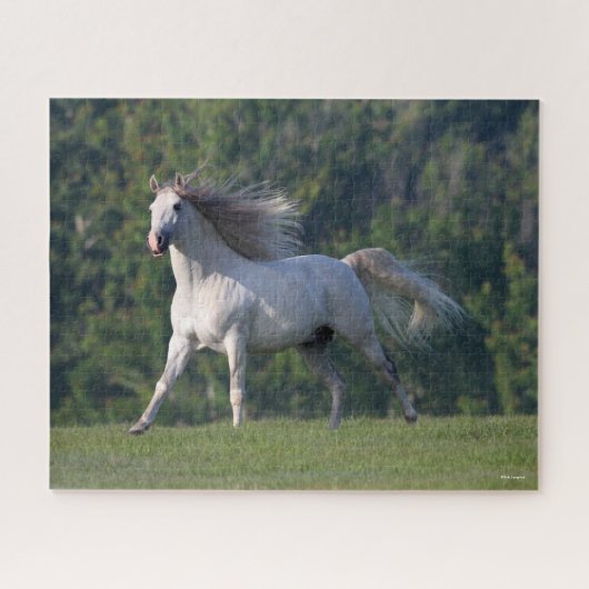 Bob Langrish | Gray Lusitano Stallion Running Legpuzzel (Horizontaal)