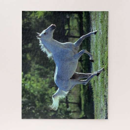 Bob Langrish | Gray Thoroughbred Stallion Running Legpuzzel (Verticaal)