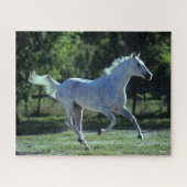 Bob Langrish | Gray Thoroughbred Stallion Running Legpuzzel (Horizontaal)