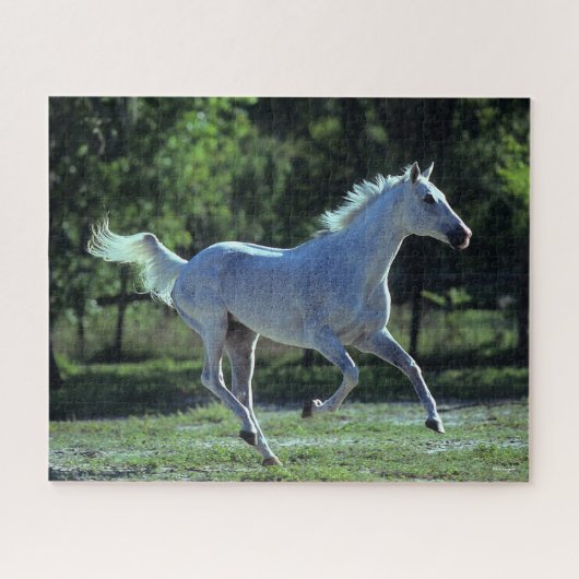 Bob Langrish | Gray Thoroughbred Stallion Running Legpuzzel (Horizontaal)
