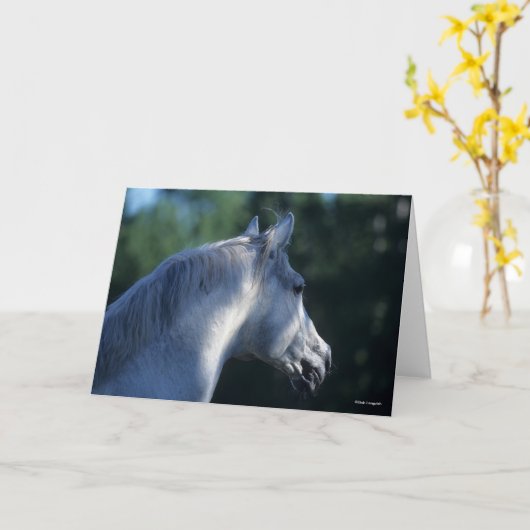 Bob Langrish | Gray Trakehner Stallion Headshot Kaart (Gele Bloem)