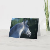 Bob Langrish | Gray Trakehner Stallion Headshot Kaart (Voorkant)