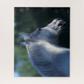 Bob Langrish | Gray Trakehner Stallion Headshot Legpuzzel (Verticaal)